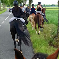 Cours d'équitation enfants et adolescents Abbeville