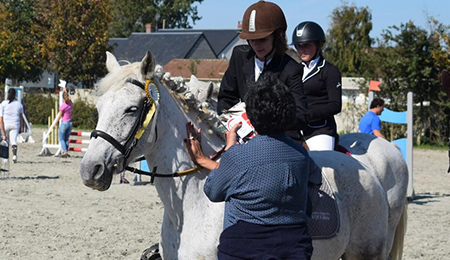 Compétition équitation Abbeville