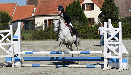 Compétition équestre Abbeville