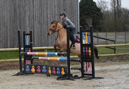 Cours d'équitation pour adultes Abbeville