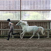 Cours d'équitation enfants et adolescents Abbeville