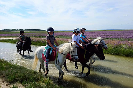 Cours d'équitation pour enfants Abbeville