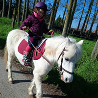 Cours de Baby Poney Abbeville