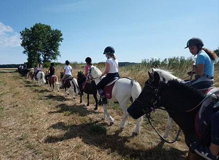 Cours de baby poney Abbeville